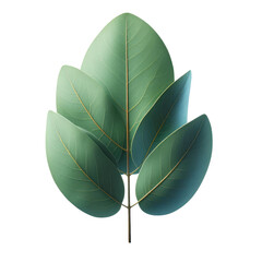 Isolated Green Leaf on a Clear PNG Canvas, Generative AI