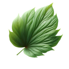 Fototapeta na wymiar Isolated Green Leaf on a Clear PNG Canvas, Generative AI