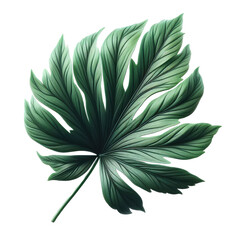 Isolated Green Leaf on a Clear PNG Canvas, Generative AI
