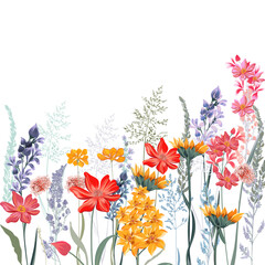 Fashion vector floral illustration with garden and meadow flowers