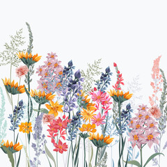 Fashion vector floral illustration with wild flowers