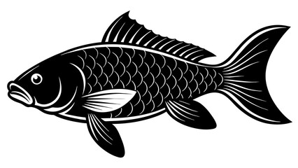 Design with High-Quality Carp Fish Vector Graphics