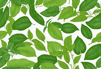 Obraz premium series of freshness tree leaf branch template background aromatic floral leaf on white background