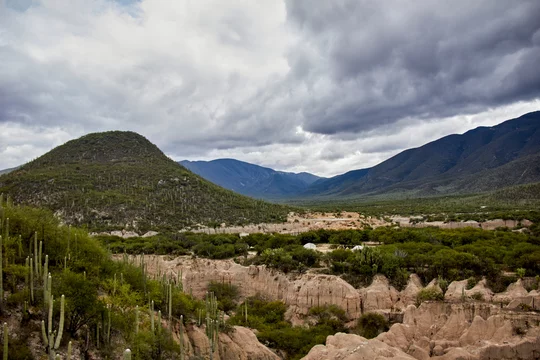 Vallée de Tehuacán-Cuicatlán - Adobe Stock