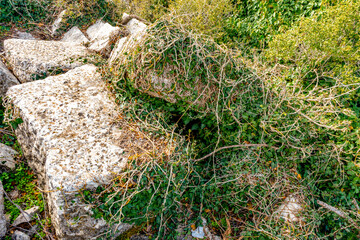 Termessos ancient city the amphitheatre. Termessos is one of Antalya -Turkey's most outstanding archaeological sites. Despite the long siege, Alexander the Great could not capture the ancient city.