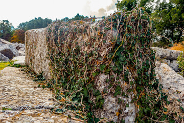 Termessos ancient city the amphitheatre. Termessos is one of Antalya -Turkey's most outstanding archaeological sites. Despite the long siege, Alexander the Great could not capture the ancient city.