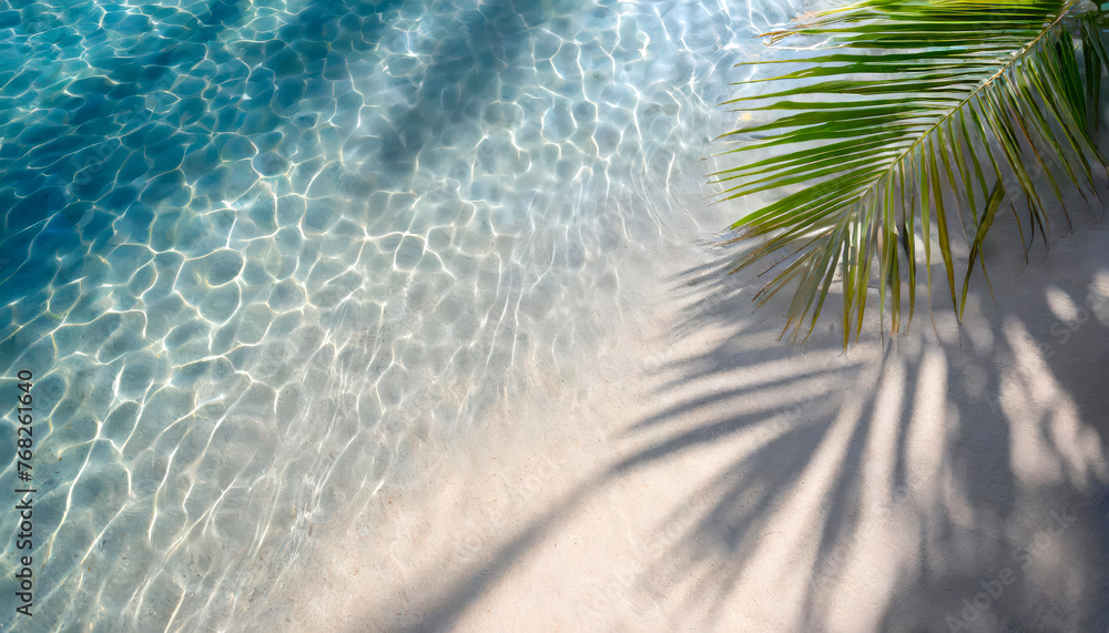 Poster a palm tree is laying on the sand next to the ocean. the water is calm and the palm tree casts a sha