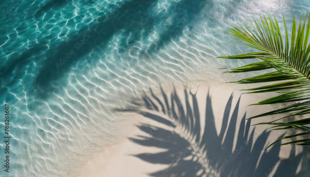 Poster a palm tree is laying on the sand next to the ocean. the water is calm and the palm tree casts a sha