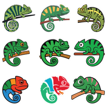 set of chameleon vector elements, animal, art, artwork, background, cartoon, chameleon, chameleon lizard, chameleon logo, character, cheerful, collection, colorful, creative, cute, decoration, design