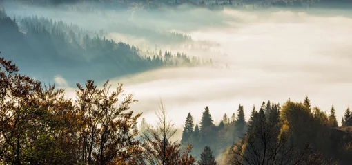 Keuken spatwand met foto autumn morning scenery, nature colorful background, Europe, Carpathian mountains, Ukraine, mountains © Rushvol