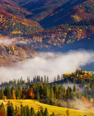 autumn morning scenery, nature colorful background, Europe, Carpathian mountains, Ukraine, mountains