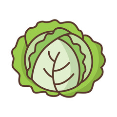 Cabbage icon vector design template