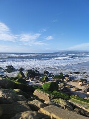 Rocks clad in green moss on a sandy beach, Costa de Lavos, Figueira da Foz, Portugal