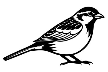 Fototapeta premium sparrow silhouette vector illustration