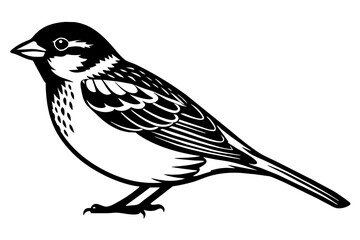 Naklejka premium sparrow silhouette vector illustration
