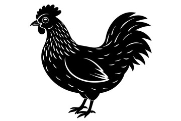 Fototapeta na wymiar silkie chicken silhouette vector illustration