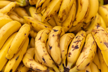 Closeup of yellow bananas