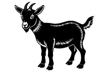 nigerian dwarf goat silhouette vector illustration