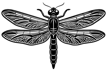 A realistic Dragonfly silhouette  vector art illustration