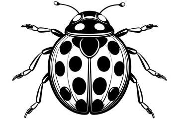 A realistic Ladybug  silhouette  vector art illustration