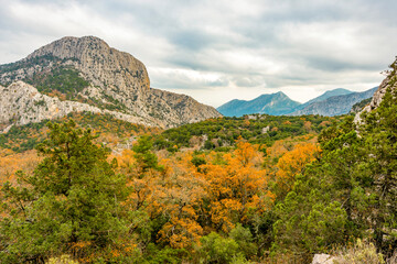 Termessos ancient city the amphitheatre. Termessos is one of Antalya -Turkey's most outstanding...