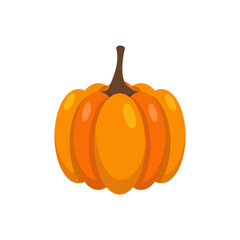 Vegetable Flat Illustration