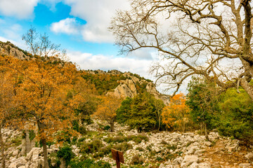Termessos ancient city the amphitheatre. Termessos is one of Antalya -Turkey's most outstanding...
