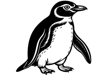 A realistic Penguin silhouette  vector art illustration