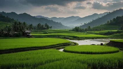 Fototapeten Farmers Working in Lush Green Rice Fields at Sunset, green rice paddies, with a backdrop of rolling hills as the sun sets. © Lokesh