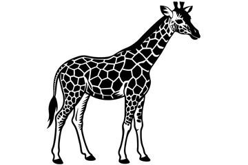 A realistic Giraffe silhouette  vector art illustration