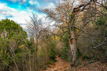 Obraz premium Termessos ancient city the amphitheatre. Termessos is one of Antalya -Turkey's most outstanding archaeological sites. Despite the long siege, Alexander the Great could not capture the ancient city.