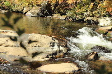 Cascada, en Carolina del Norte. Agua corriendo entre piedras 