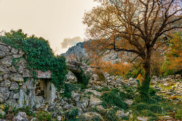 Termessos ancient city the amphitheatre. Termessos is one of Antalya -Turkey's most outstanding...