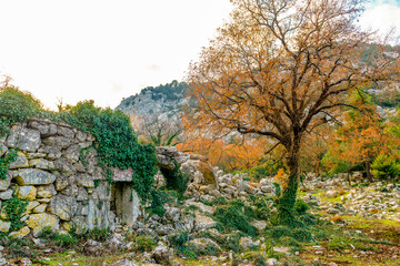 Termessos ancient city the amphitheatre. Termessos is one of Antalya -Turkey's most outstanding...