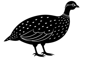 guinea fowl silhouette vector illustration