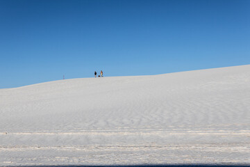 Fototapeta na wymiar Hiking the Akali Flats Trail at White Sands NP.