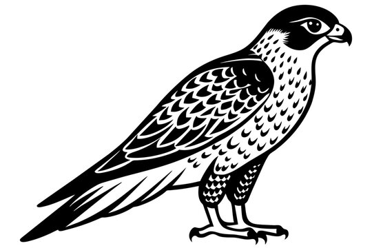 recommend clip art: falcon silhouette vector illustration
