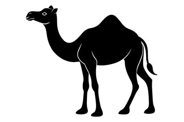 dromedary camel silhouette vector illustration