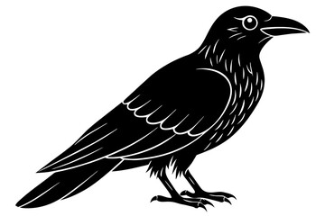 crow silhouette vector illustration