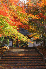 安楽寺 - Anrakuji Temple in kyoto, Japan