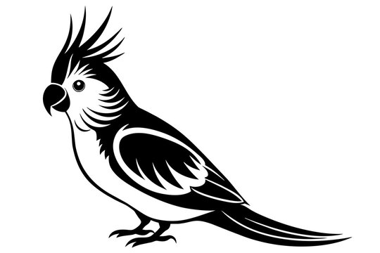 recommend clip art: cockatiel silhouette vector illustration