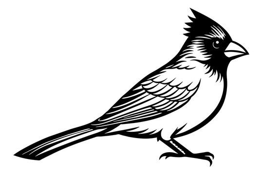 recommend clip art: cardinal silhouette vector illustration