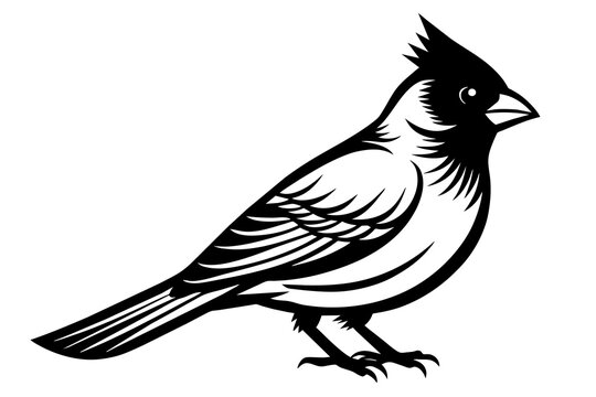 recommend clip art: cardinal silhouette vector illustration