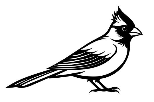 recommend clip art: cardinal silhouette vector illustration