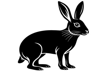 Fototapeta premium belgian hare silhouette vector illustration