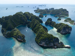 Limestone islands, fringed by reef, rise from Raja Ampat's tropical seascape. This region of...