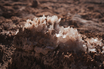 A bunch of sharp salt crystals in Atacama desert, Chile