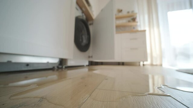 Puddle of water on wooden floor from an open dishwasher in a sunlit kitchen, signaling a domestic mishap