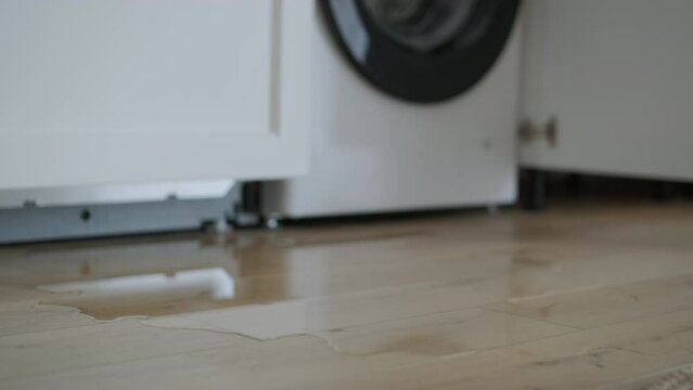 Puddle of water on wooden floor from an open dishwasher in a sunlit kitchen, signaling a domestic mishap