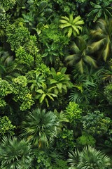 Multiple Vegetation Plants in Tropical Rainforest Background created with Generative AI Technology